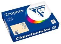 Clairefontaine Kopierpapier Trophée chamois DIN A4...