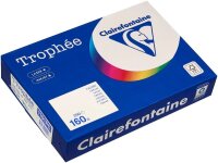 Clairefontaine Kopierpapier Trophée sand DIN A4 160 g/qm 250 Blatt
