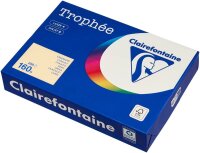 Clairefontaine Kopierpapier Trophée chamois DIN A4 160 g/qm 250 Blatt