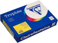 Clairefontaine Kopierpapier Trophée canariengelb DIN A4 160 g/qm 250 Blatt