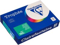 Clairefontaine Kopierpapier Trophée tannengrün DIN A4 160 g/qm 250 Blatt