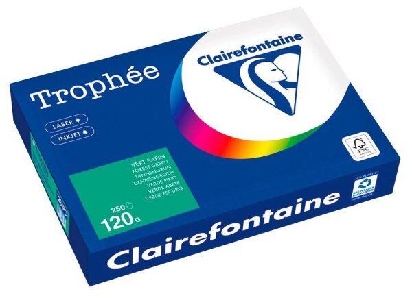 Clairefontaine Kopierpapier Trophée tannengrün DIN A4 120 g/qm 250 Blatt