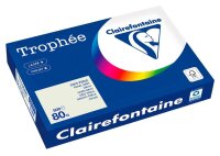 Clairefontaine Kopierpapier Trophée grau DIN A3 80...