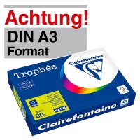 Clairefontaine Kopierpapier Trophée neongrün...