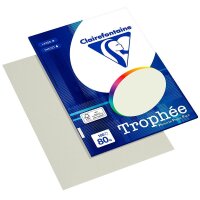 Clairefontaine Kopierpapier Trophée grau DIN A4 80...