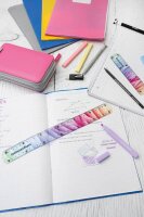 EBERHARD FABER Lineal Rainbow 15,0 cm, Regenbogen