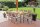 Garden Pleasure Sitzgruppe Florence, champagner Kunststoff, Metall, 7-teilig  ( 305267-6 )