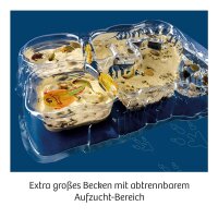 KOSMOS Experimentierkasten Triops-Welt Leben aus der Urzeit mehrfarbig