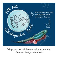 KOSMOS Experimentierkasten Triops-Welt Leben aus der Urzeit mehrfarbig