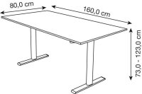 Kerkmann Move 1 base elektrisch höhenverstellbarer Schreibtisch weiß rechteckig, T-Fuß-Gestell silber 160,0 x 80,0 cm