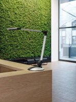 MAUL MAULoptimus colour vario LED Schreibtischlampe silber 10 W
