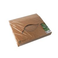 PAPSTAR Catering-Kartons pure braun 35,7 x 24,7 cm, 10 St.