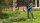 BOSCH Home & Garden AFS 23-37 Freischneider 1.000 Watt