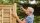 BOSCH Home & Garden EasyDrill 1200 Akku-Bohrschrauber 12,0 V, mit 2 Akkus