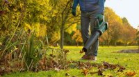 BOSCH Home & Garden AdvancedLeafBlower 36V-750 Akku-Laubbläser 36,0 V, mit 1 Akku