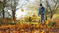 BOSCH Home & Garden AdvancedLeafBlower 36V-750 Akku-Laubbläser 36,0 V, mit 1 Akku