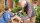 BOSCH Home & Garden Handtacker PTK 3,6 LI grün, 1 St.