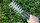 BOSCH Home & Garden Akku-Heckenschere 3,6 V, mit 1 Akku