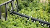 BOSCH Home & Garden UniversalHedgeCut 18V-50 Akku-Heckenschere, ohne Akku