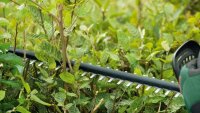 BOSCH Home & Garden UniversalHedgeCut 18V-50 Akku-Heckenschere, ohne Akku