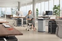 Hailo Big-Box Swing XL Mülleimer 52,0 l schwarz, 1 St.