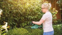 BOSCH Home & Garden EasyHedgeCut 18-45 Akku-Heckenschere 18,0 V, mit 1 Akku