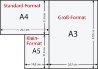 Plano® Kopierpapier Speed DIN A4 80 g/qm 500 Blatt