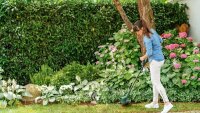 BOSCH Home & Garden EasyGrassCut 23 Rasentrimmer 280 W