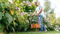 BOSCH Home & Garden EasyGrassCut 23 Rasentrimmer 280 W