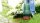 BOSCH Home & Garden EasyGrassCut 23 Rasentrimmer 280 W