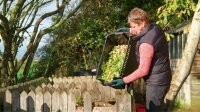 BOSCH Home & Garden AXT 25 TC Gartenhäcksler 2.500 W