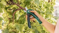 BOSCH Home & Garden EasyPrune Akku-Astschere 3,6 V, mit 1 Akku