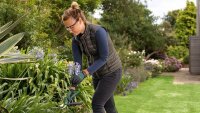 BOSCH Home & Garden EasyPrune Akku-Astschere 3,6 V, mit 1 Akku