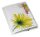 OXFORD Eckspanner Polyvision DIN A4 transparent, 1 St.