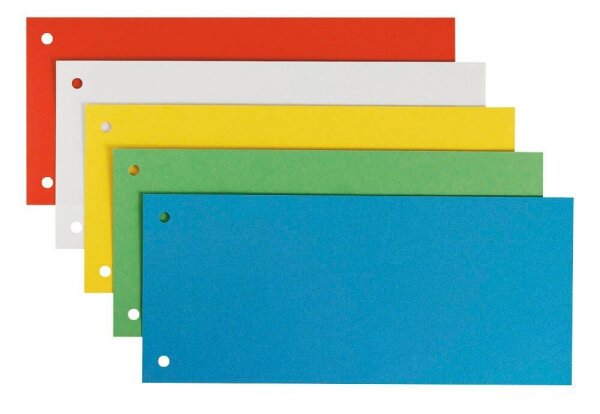 LEITZ Trennstreifen 1679 farbsortiert, 180 g/qm Karton 24,0 x 10,5 cm, 25 St.