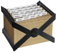 DURABLE Hängeregistraturkorb ohne Mappen CARRY...