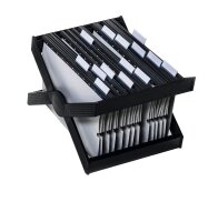 DURABLE Hängeregistraturkorb ohne Mappen CARRY anthrazit