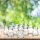 relaxdays Windlichter transparent, 12 St.