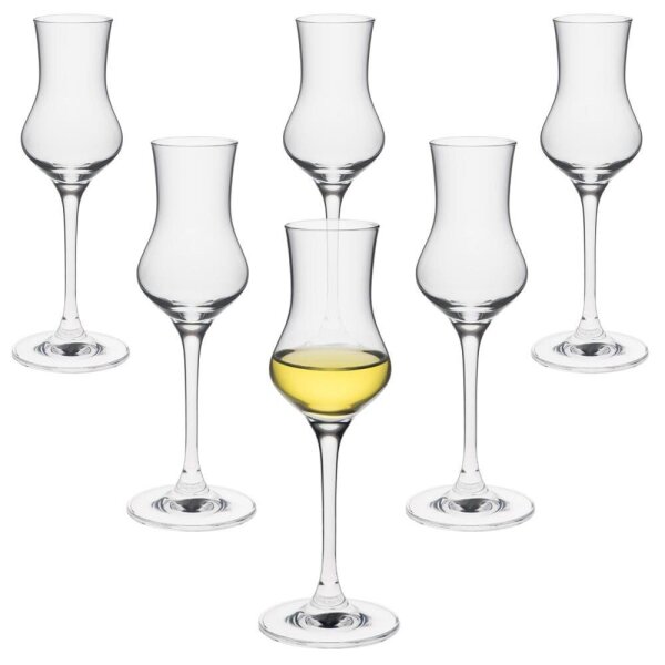 RONA Schnapsgläser EDITION 90,0 ml, 6 St.
