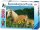 Ravensburger XXL Pferdeglück Puzzle, 200 Teile