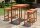 Garden Pleasure Gartentisch Palmdale braun rechteckig 120,0 x 60,0 x 100,0 cm