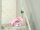 3M 2072 Malerband pink 36,0 mm x 50,0 m 1 Rolle