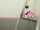 3M 2072 Malerband pink 30,0 mm x 50,0 m 1 Rolle