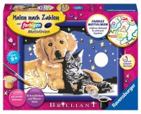Ravensburger Malen-nach-Zahlen Funkelnder Sternenhimmel...