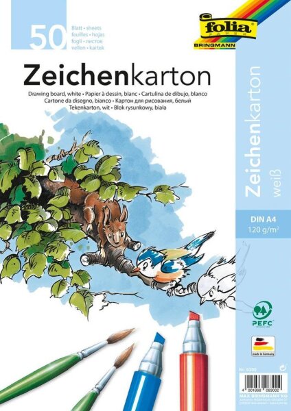 folia Zeichenkarton DIN A4 120 g/qm, 50 Blatt, 50 Blatt