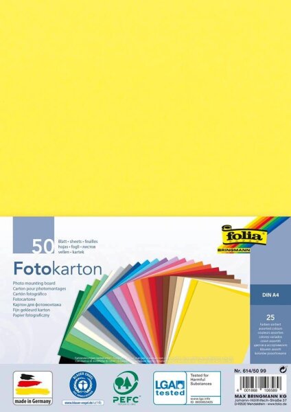 folia Fotokarton farbsortiert 300 g/qm 50 Blatt