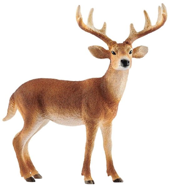 Schleich® Wild Life 14818 Weisswedelhirsch Spielfigur