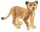 Schleich® Wild Life 14813 Löwenjunges Spielfigur