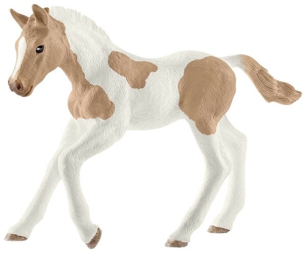 Schleich® Horse Club 13886 Paint Horse Fohlen Spielfigur