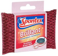 Spontex Brilliant Reinigungspad, 1 St.